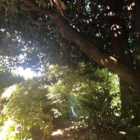 Villa Cardano Maccagno Close To Every Destination Εξωτερικό φωτογραφία