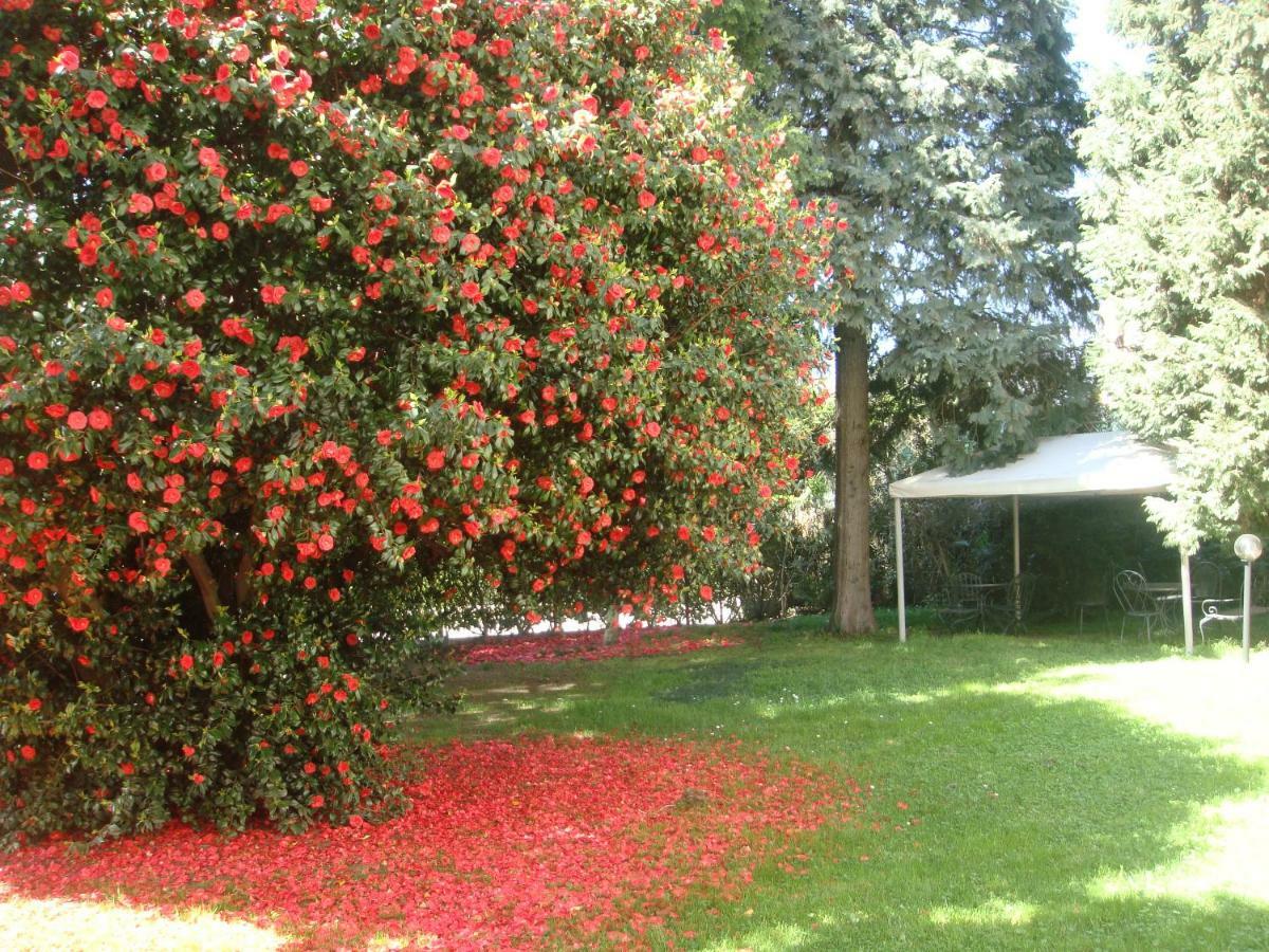 Villa Cardano Maccagno Close To Every Destination Εξωτερικό φωτογραφία